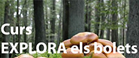 Curs Explora els bolets