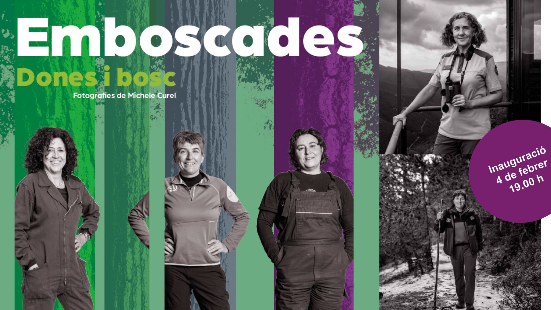 El Pavell&oacute; de Su&egrave;cia acollir&agrave; l'exposici&oacute; 