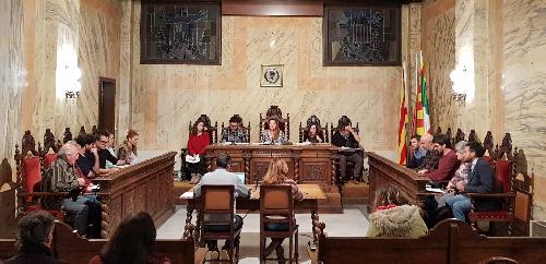 Resum del Ple de la Corporació corresponent a la sessió ordinària de novembre de 2019