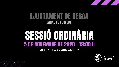 Resum del Ple de la Corporació corresponent a la sessió ordinària de novembre de 2020