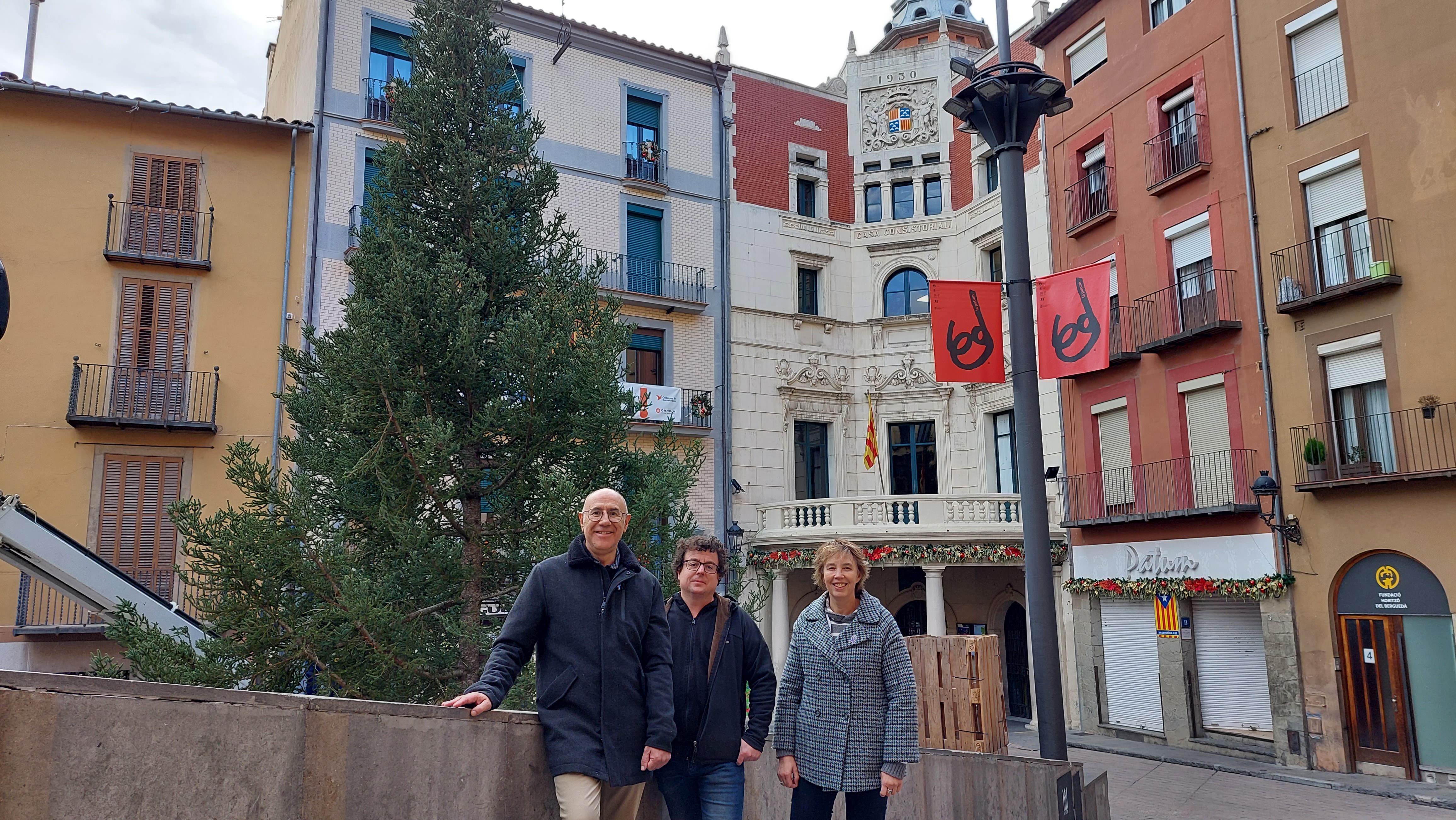Berga aposta per la sostenibilitat mitjançant la valorització de l'arbrat de Nadal instal·lat a la ciutat  