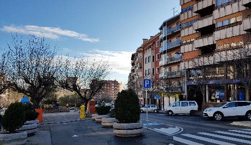 Berga realitzarà treballs de poda de l'arbrat situat al pg. de la Pau i la ctra. Sant Fruitós durant la proper setmana